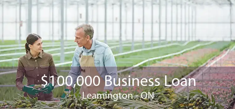 $100,000 Business Loan Leamington - ON