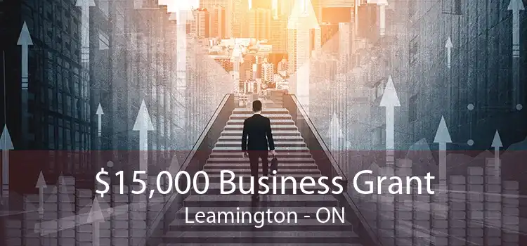 $15,000 Business Grant Leamington - ON