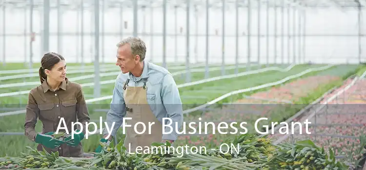 Apply For Business Grant Leamington - ON